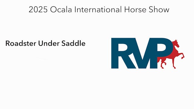 OI25 - Class 20 - Roadster Under Saddle