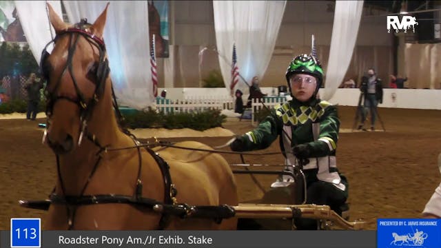 GASP21 - Class 113 - Roadster Pony Am...