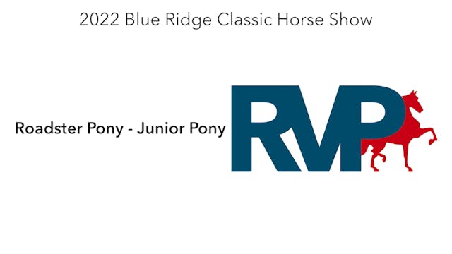 BR22 - Class 188 - Roadster Pony - Ju...