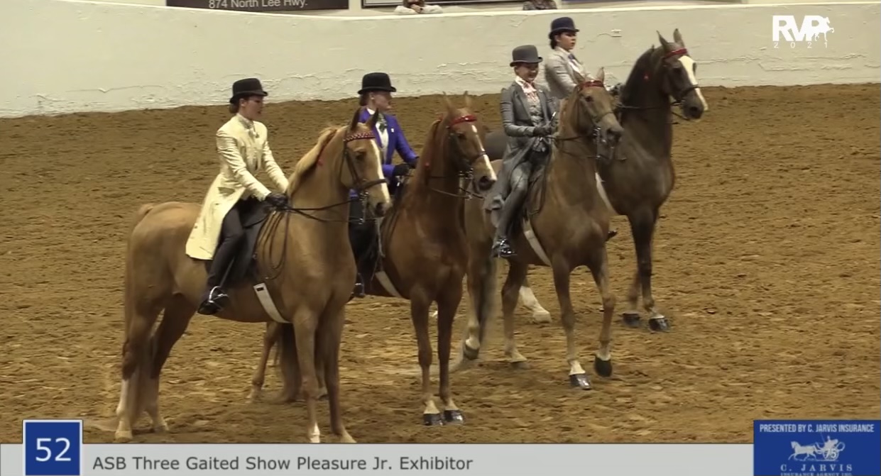 BB21 - Class 52 - ASB Three Gaited Show Pleasure Jr Exhibitor 