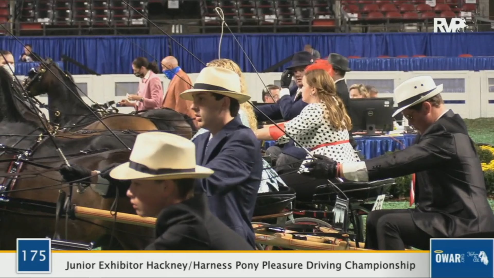 WCHS 2020 Class 175 - Junior Exhibitor Hackney:Harness Pony Pleasure Driving Championship