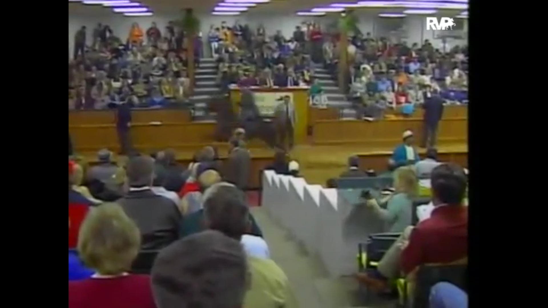 Looking Back at 1995 The Fall TSE Tattersalls Auction