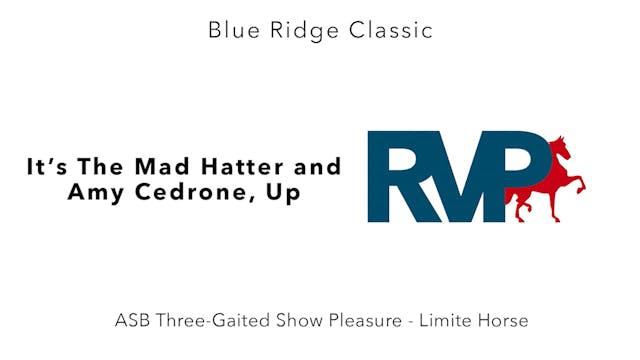 BR24 - Class 17 -  It's The Mad Hatte...