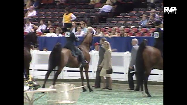 1998 WCHS - Class 119 Equitation Kent...