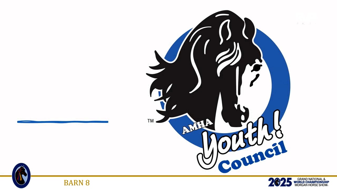 2025 Morgan Grand National - Monday Afternoon - Barn 8