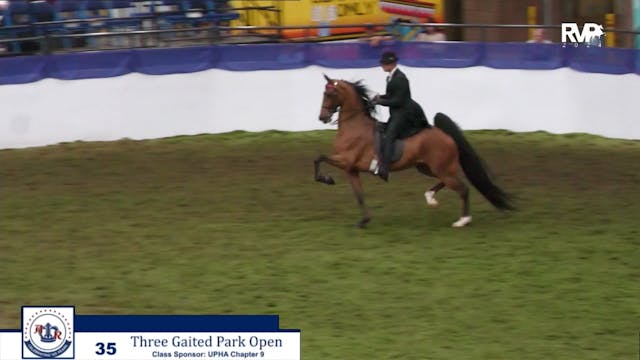 AR24 - Class 35 - Three Gaited Park Open