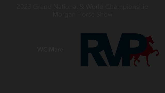 MGN23 - Class 18 - WC Mare