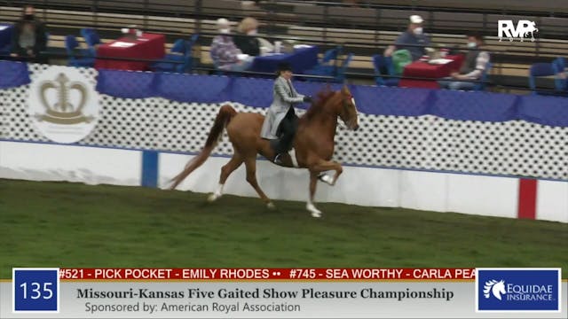 2020 AR - Class 135 MO:KS Five Gaited...