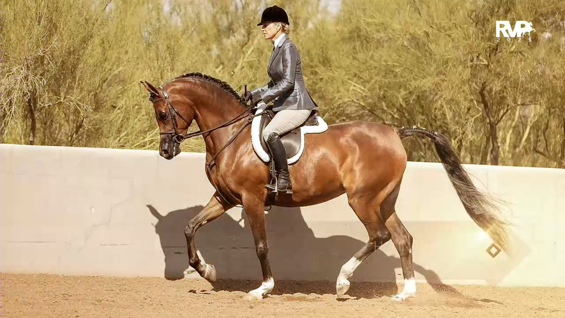 2025 Arabian Nationals - First Friday Afternoon - Ford