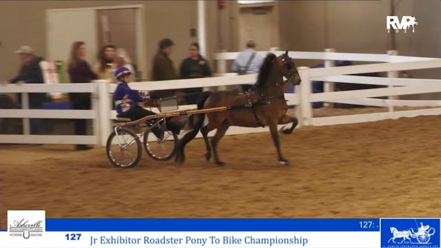 ASC24 - Class 127 - Jr Exhibitor Road...