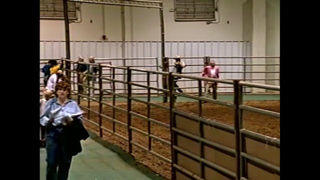 2001 Nebraska Charity - Harness Pony ...