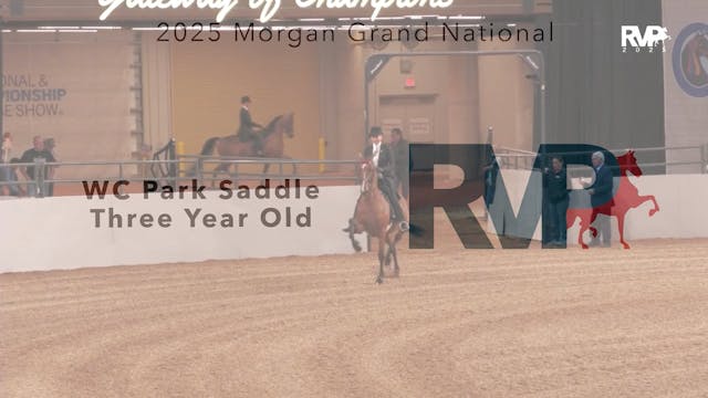 MGN25 - Class 155 - WC Park Saddle Th...