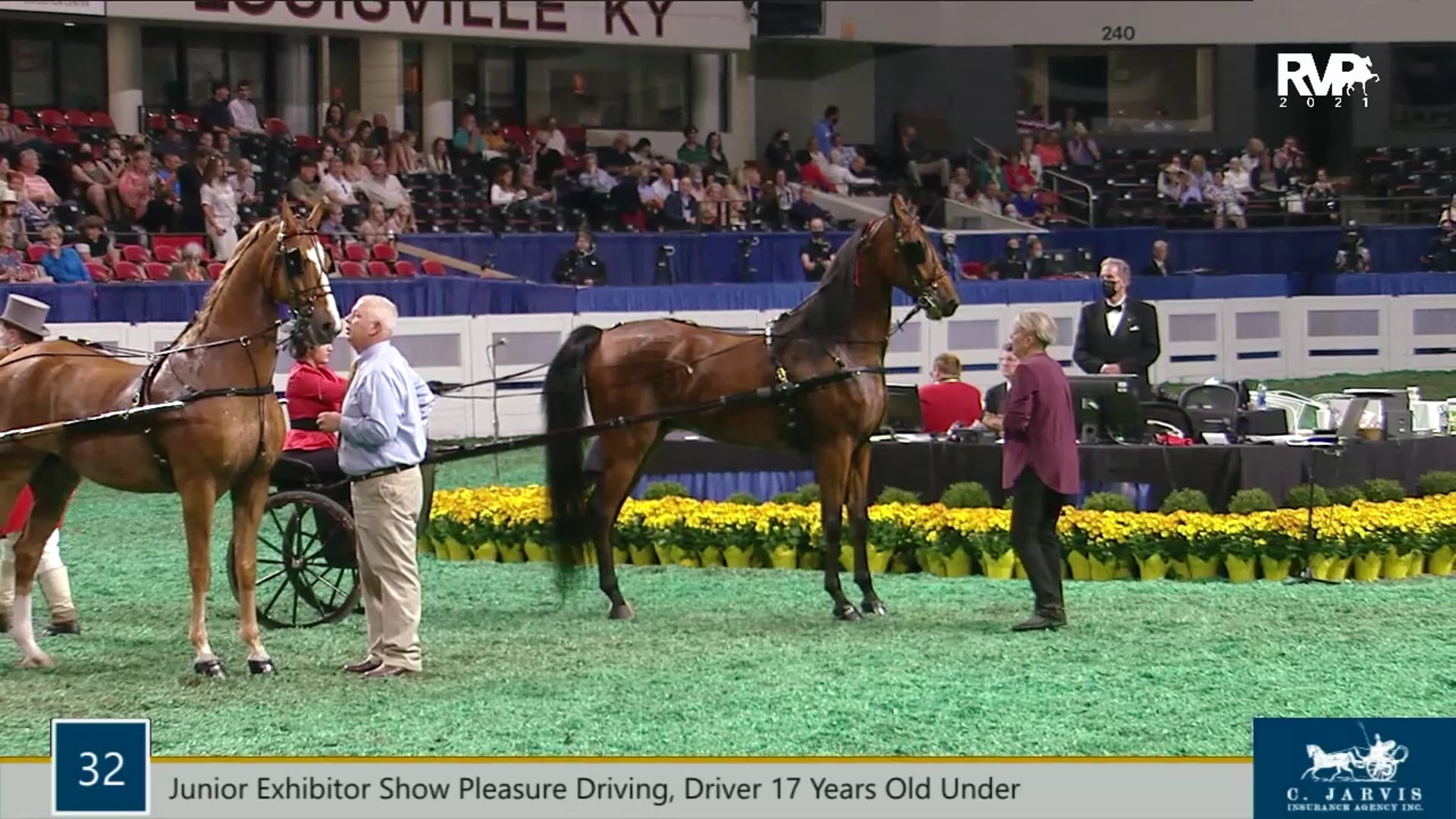 WCHS21 - Class 32 - Junior Exhibitor Show Pleasure Driving Driver 17 Years Old Under