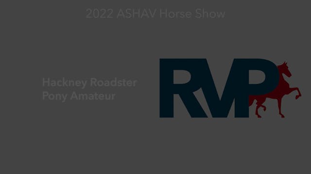 ASHAV22 - Class 11 - Hackney Roadster...