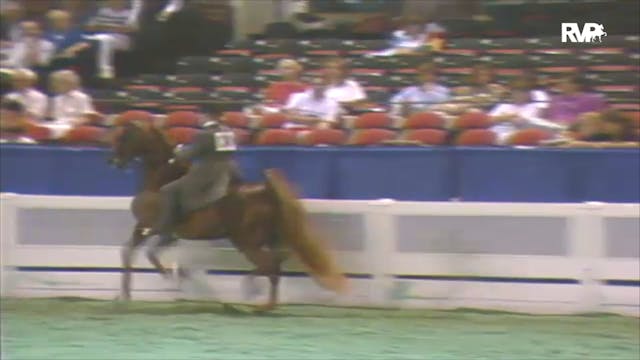 1992 WCHS Class 69 Five Gaited Pony R...