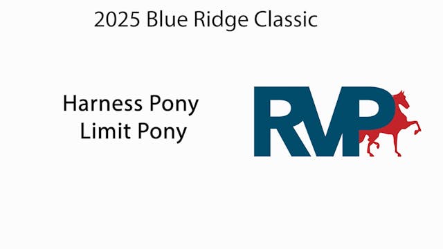BRC25 - Class 134 - Harness Pony Limi...