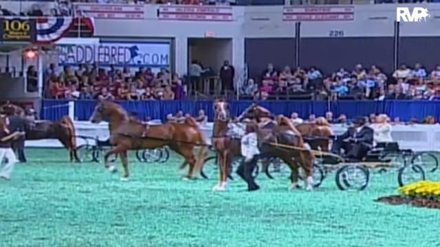 2009 World's Championship Horse Show ...