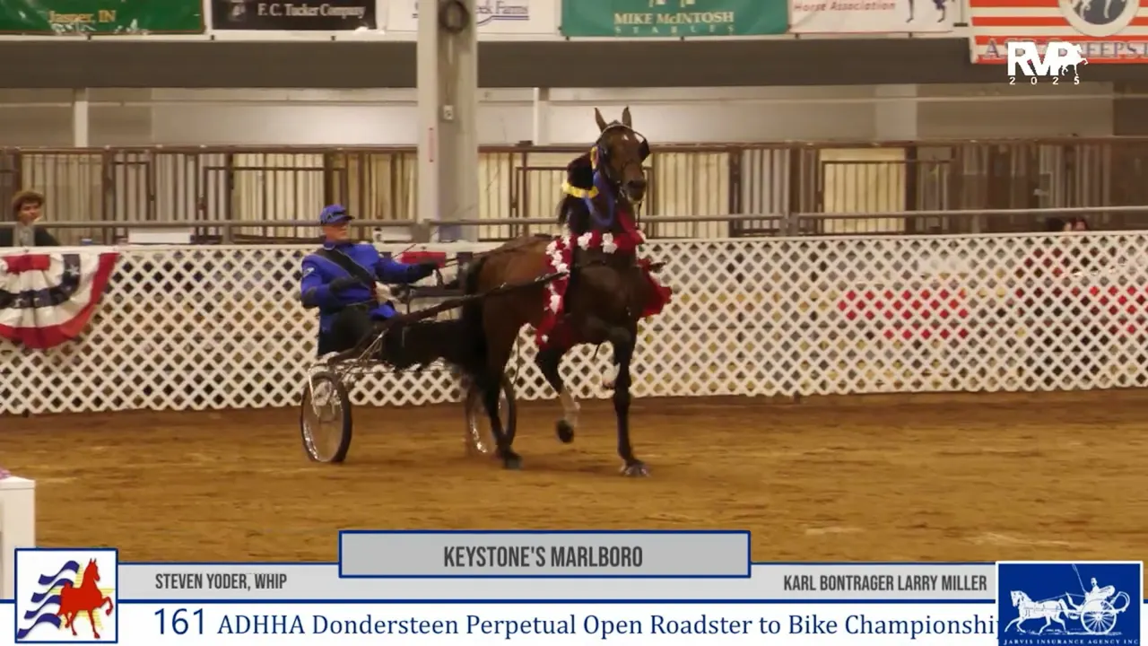 AAC25 - Class 161 - Keystone's Marlboro and Steven Yoder, Whip ...