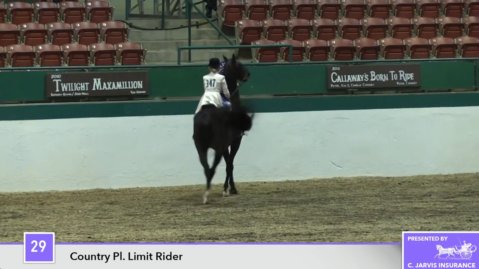 NCSC16 - CH Man of Hour Dreams