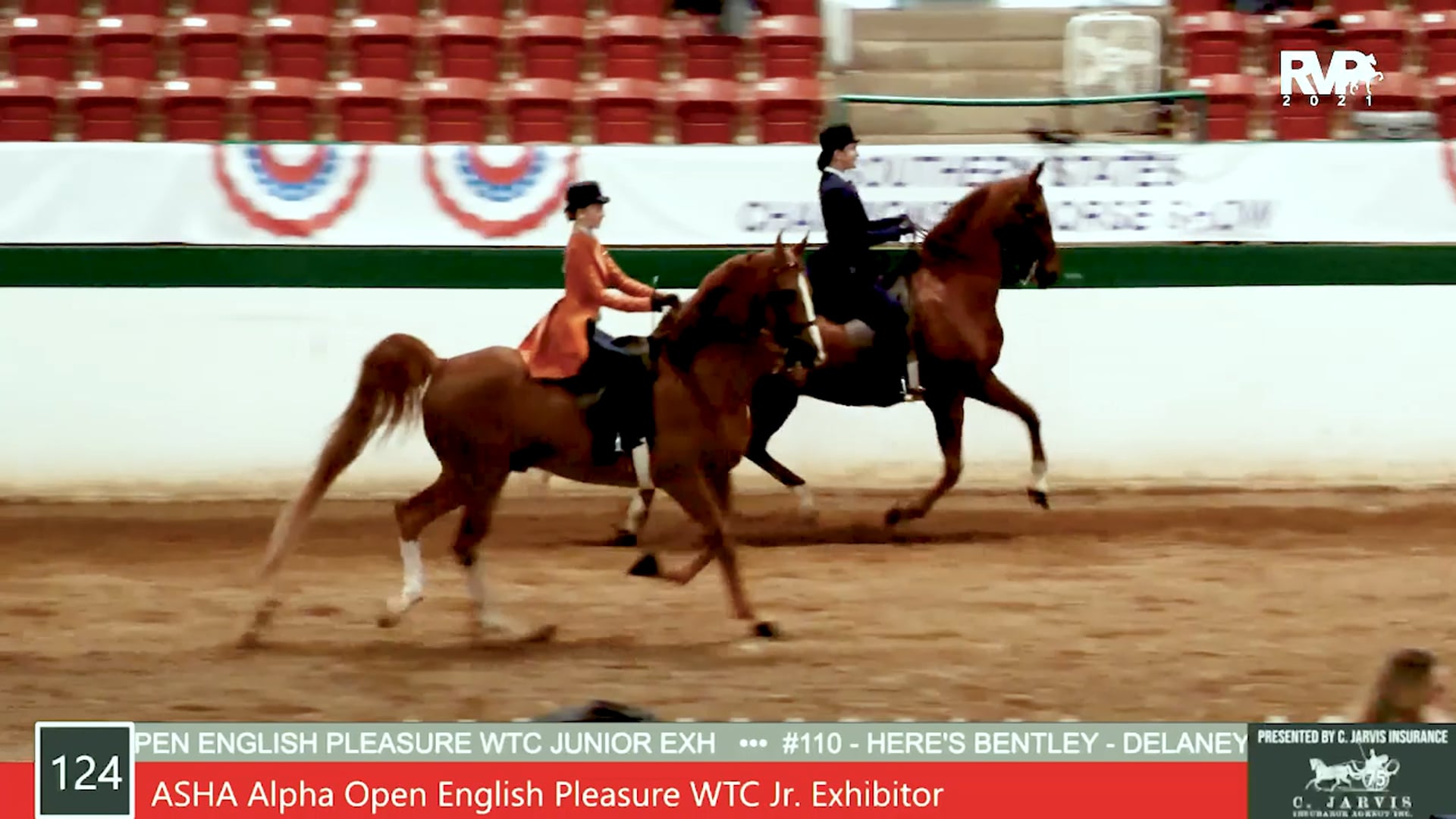 SS21 - Class 124 - ASHA Alpha Open English Pleasure WTC Junior Exhibitor