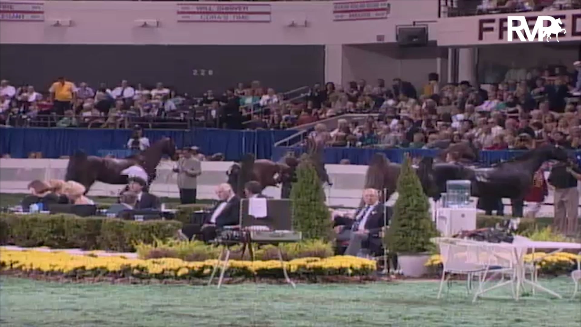 2003 WCHS Class 227 Junior Exhibitor Three Gaited Rider 14-17 Championship