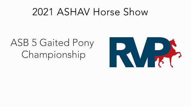 ASHAV21 - Class 94 - ASB 5 Gaited Pon...