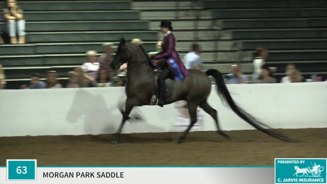 Class 63 - Dragonsmeade Onyx