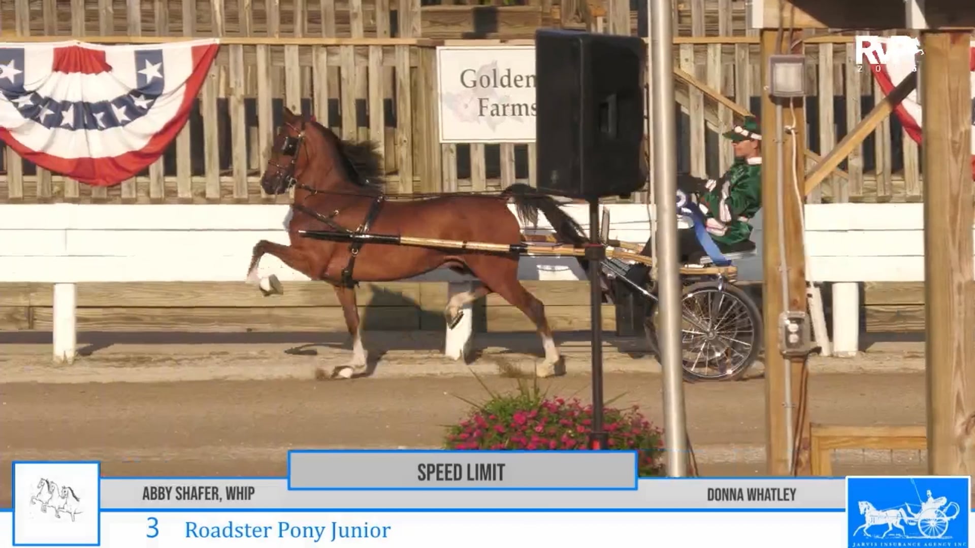 SSC25 - Class 3 - Roadster Pony Junior