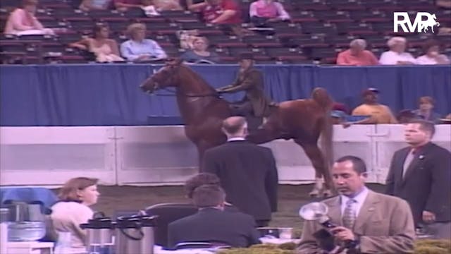2003 WCHS Class 129 ASB Junior Exhibi...