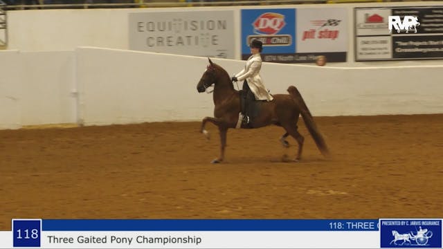 BB23 - Class 118 - Three Gaited Pony ...