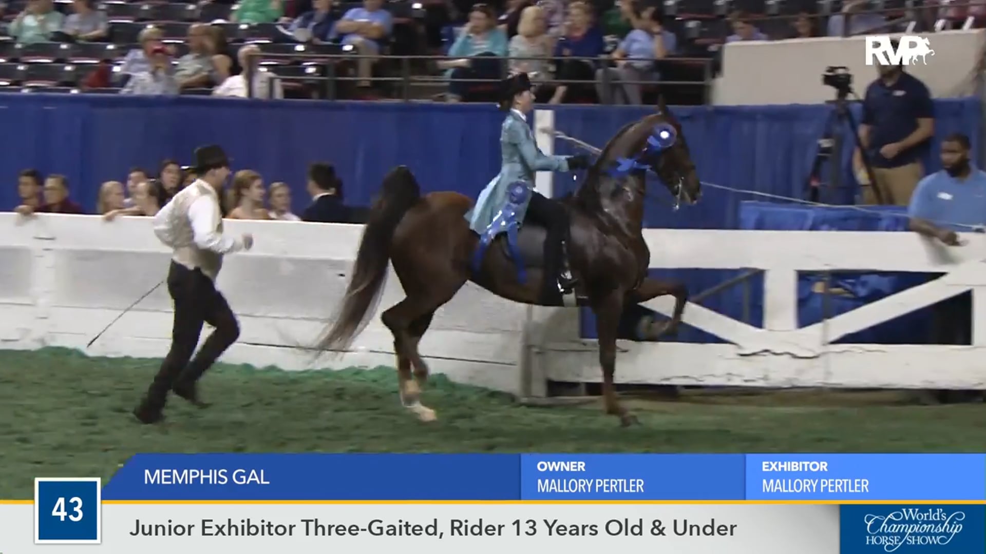 WCHS16 - Memphis Gal 