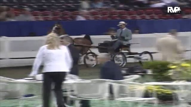 2006 WCHS Class 74 Four Year Old Hack...