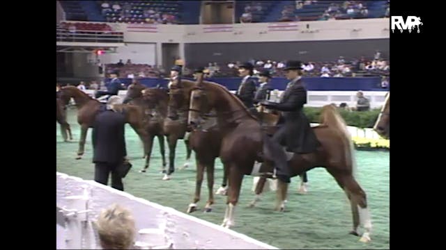 1998 WCHS - Class 66 Equitation Open ...