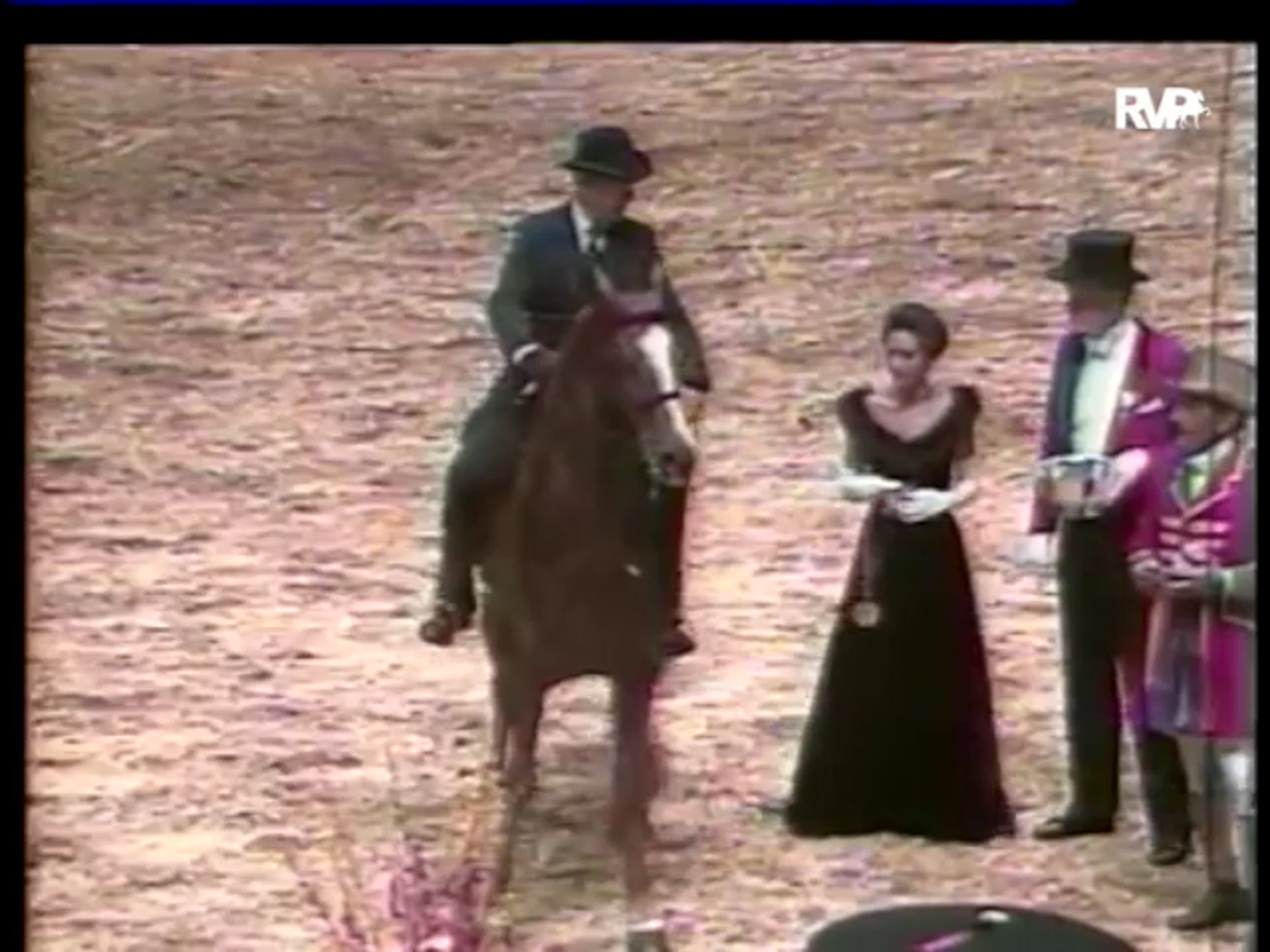 A look back at Saddlebreds at the National Horse Show with Sallie B. Wheeler