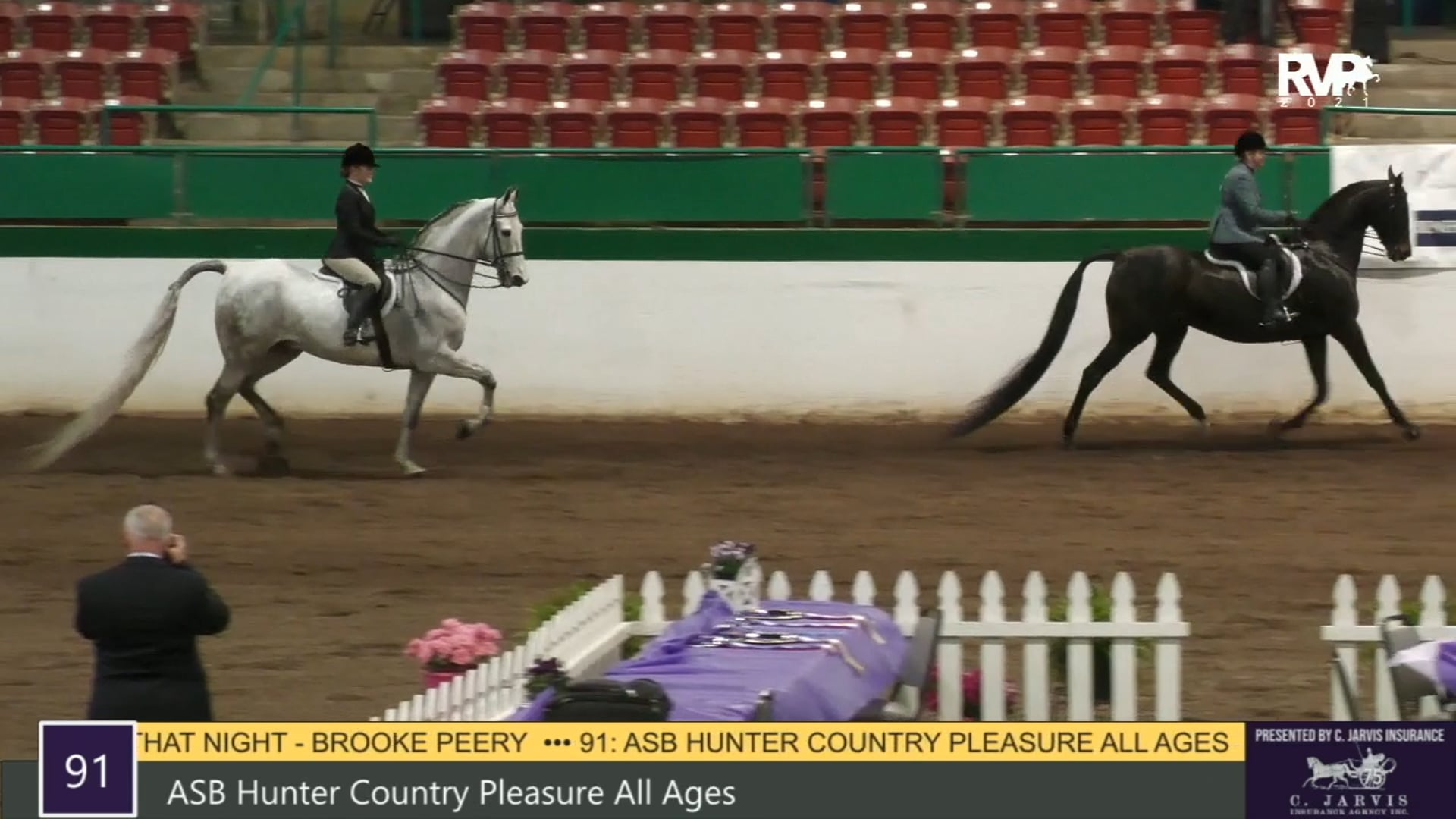 RSP21 - Class 91 - ASB Hunter Country 
Pleasure All Ages