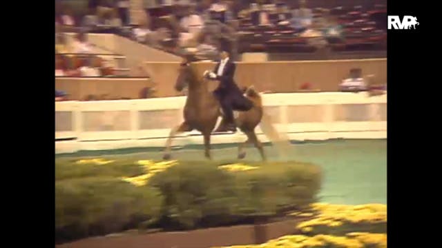 1989 WCHS Class 27 Ladies Three Gaite...