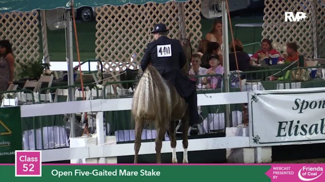 2015 LJL - Class 52 Open Five Gaited ...