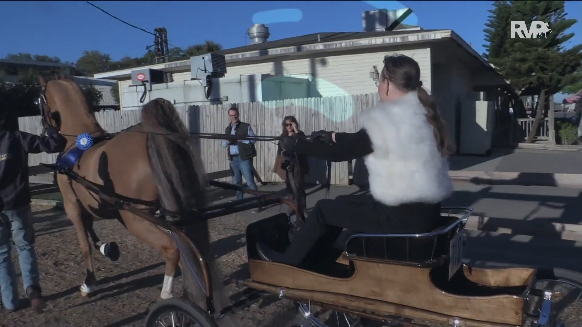 GASP18 - Class 23 - Happy Boy