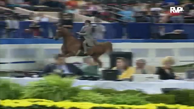 2000 WCHS Class 132A ASB Three Gaited...