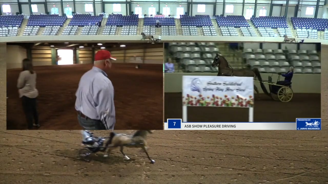 SSSF19 - Class 6 - Beauty Marc