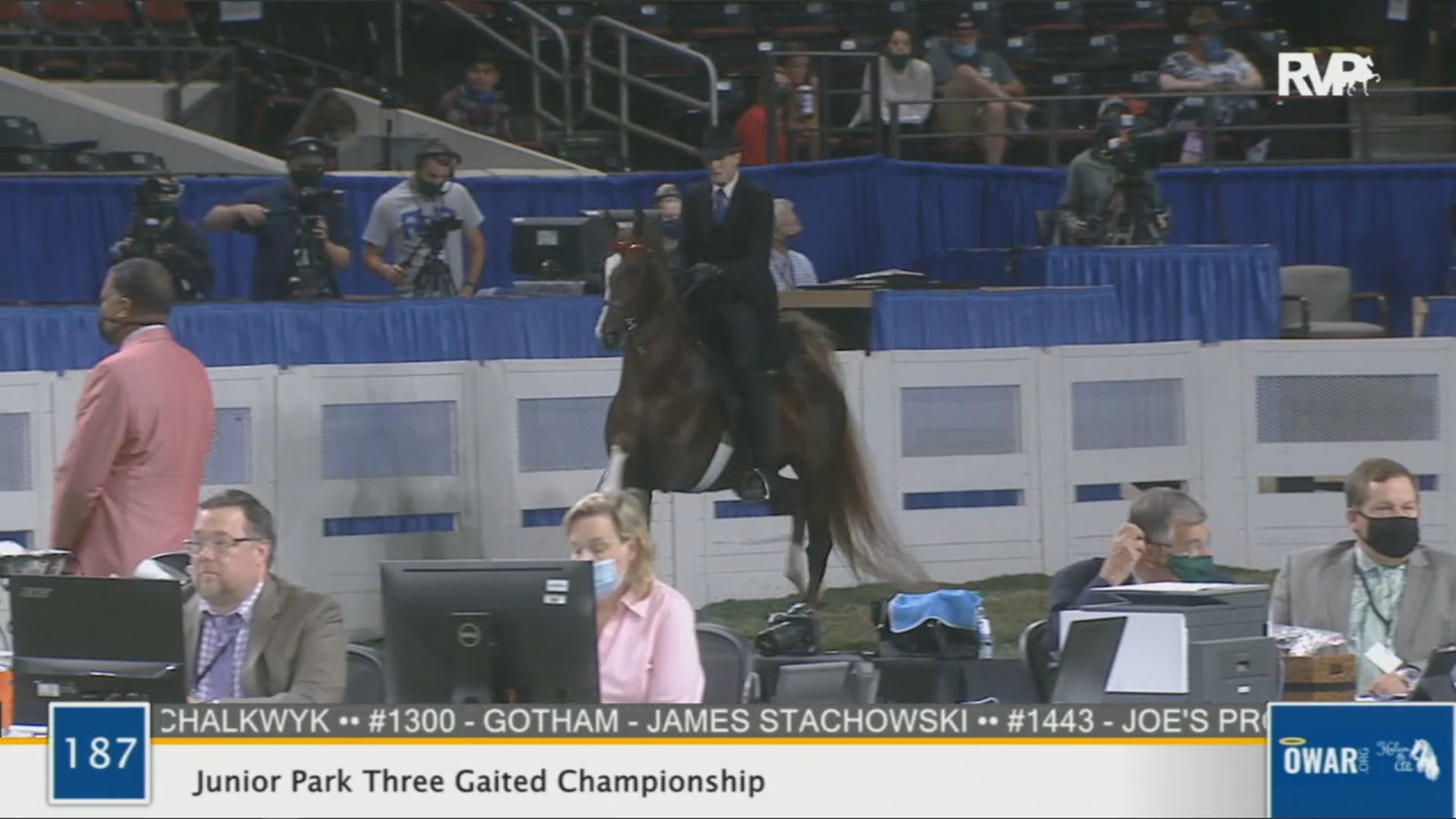 WCHS 2020 Class 187 - Junior Park Three Gaited Championship