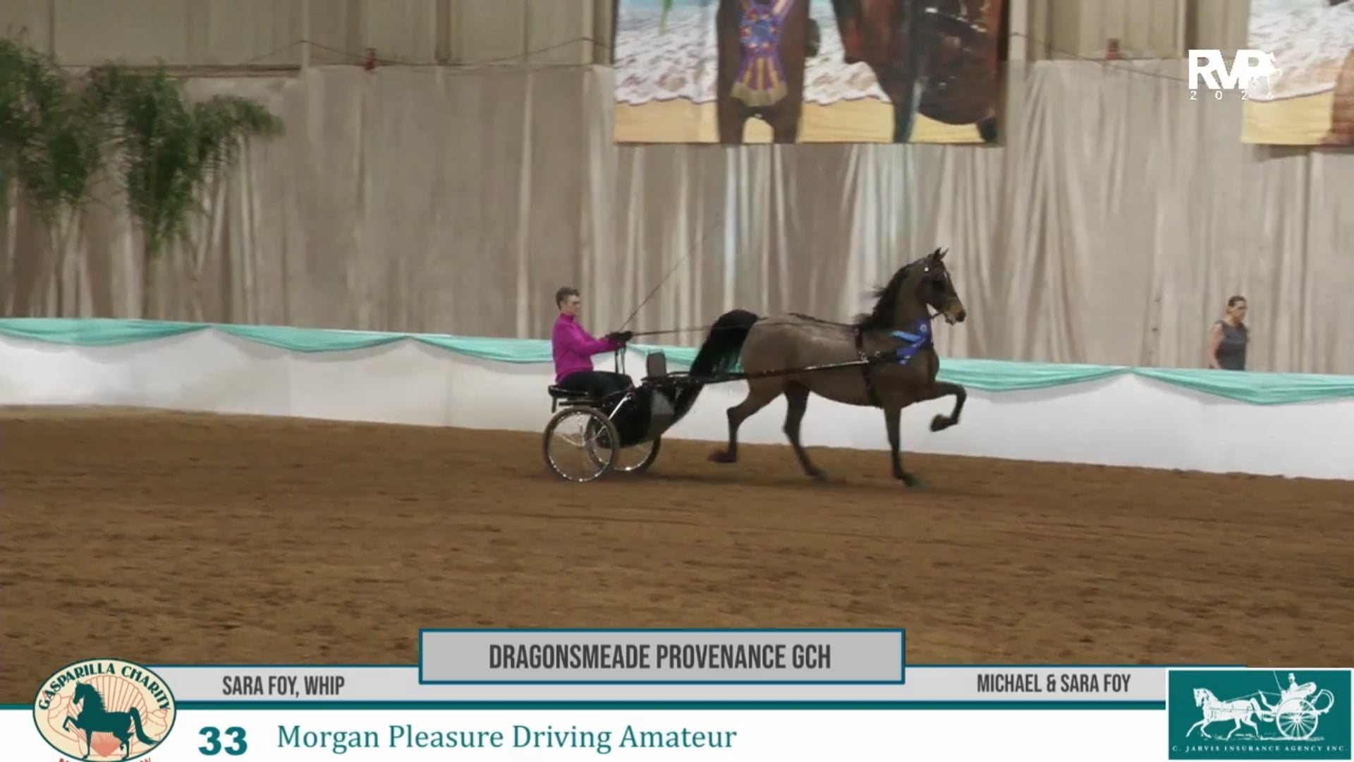 GC26 - Class 33 - Dragonsmeade Provenance GCH and Sara Foy, Whip