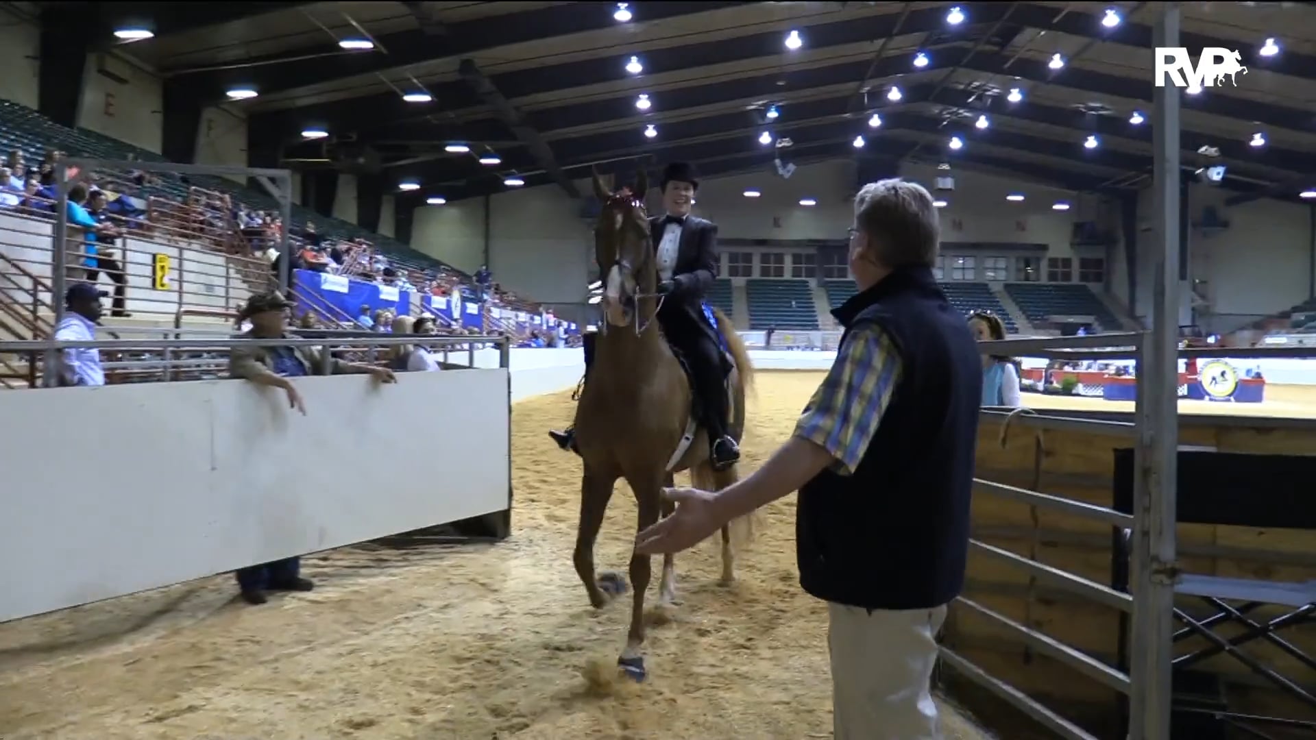 PA18 Class 85 Fox Grape's Forget Me Not