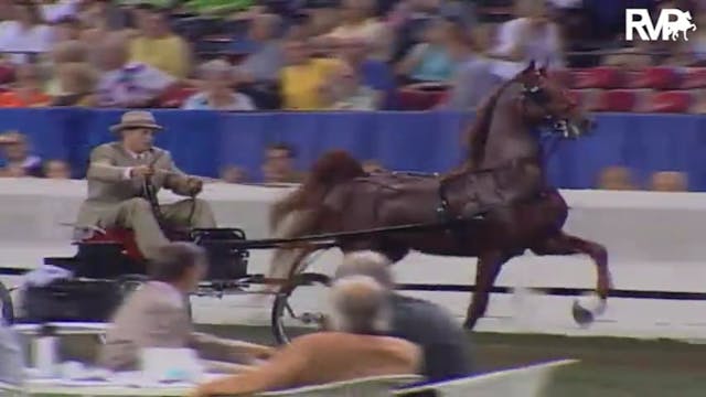 2004 World's Championship Horse Show ...