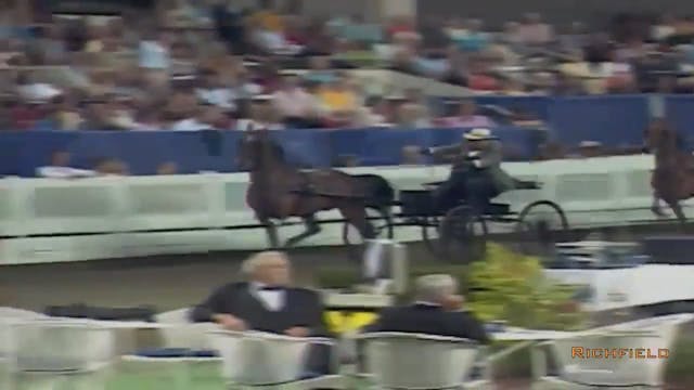 2002 WCHS Class 143 Road Horse To Wag...