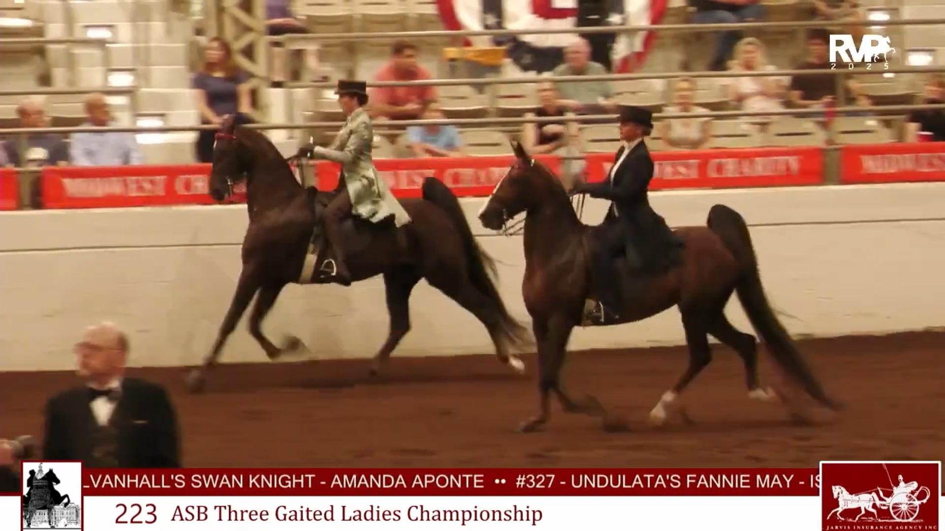 MW25 - Class 223 - ASB Three Gaited Ladies Championship