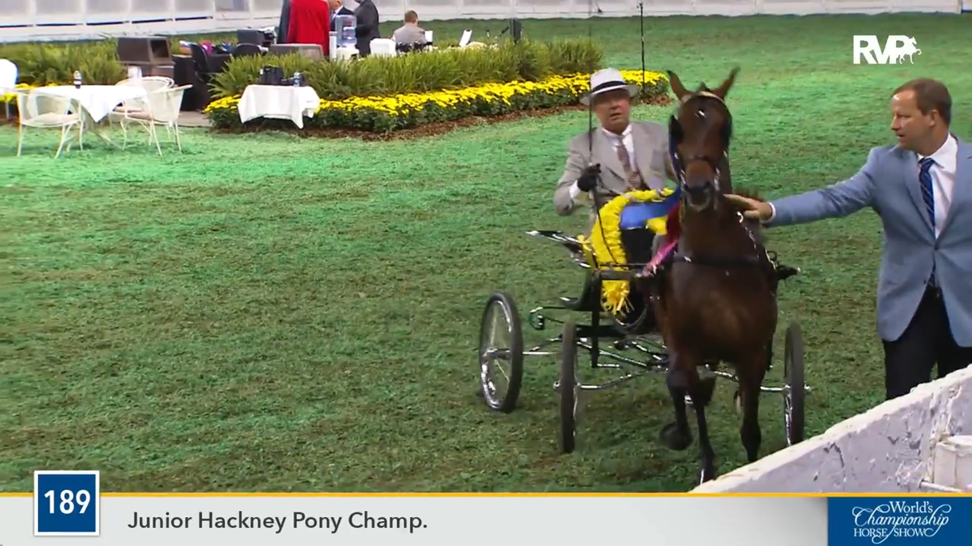 WCHS16 - Craycroft Hallelujah - Championship 