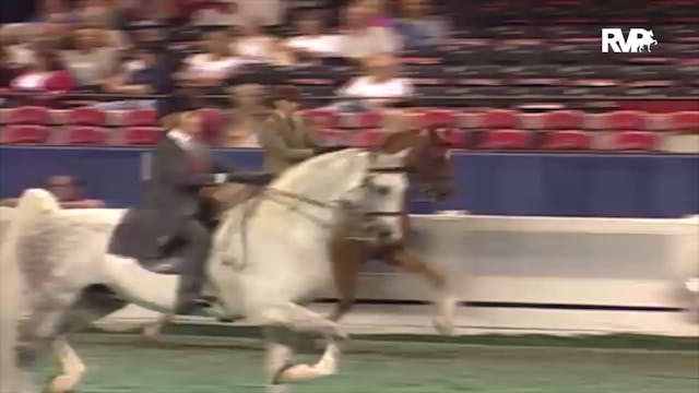 2000 WCHS Class 36 ASB Three Gaited S...