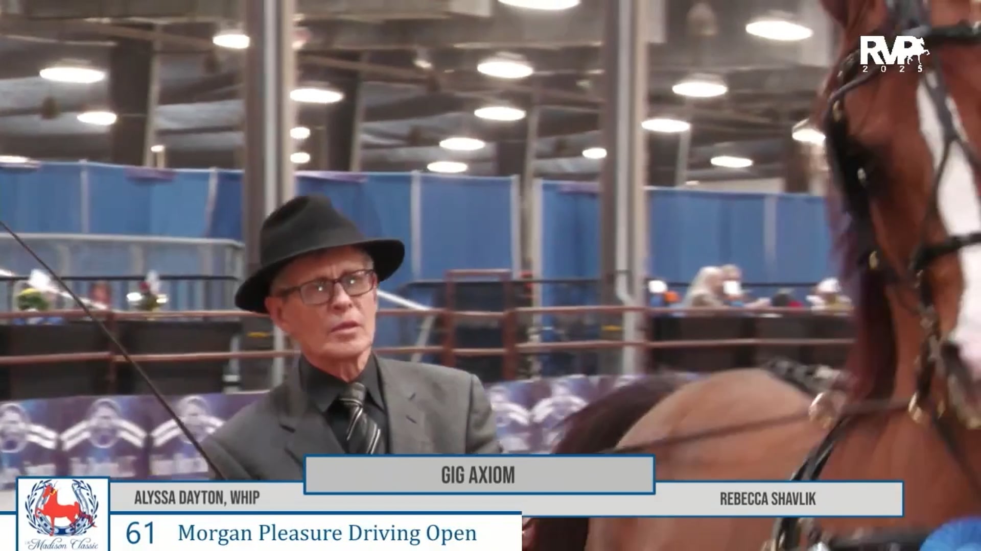 MC25 - Class 61 - Show Pleasure Driving Jr or Novice Horse