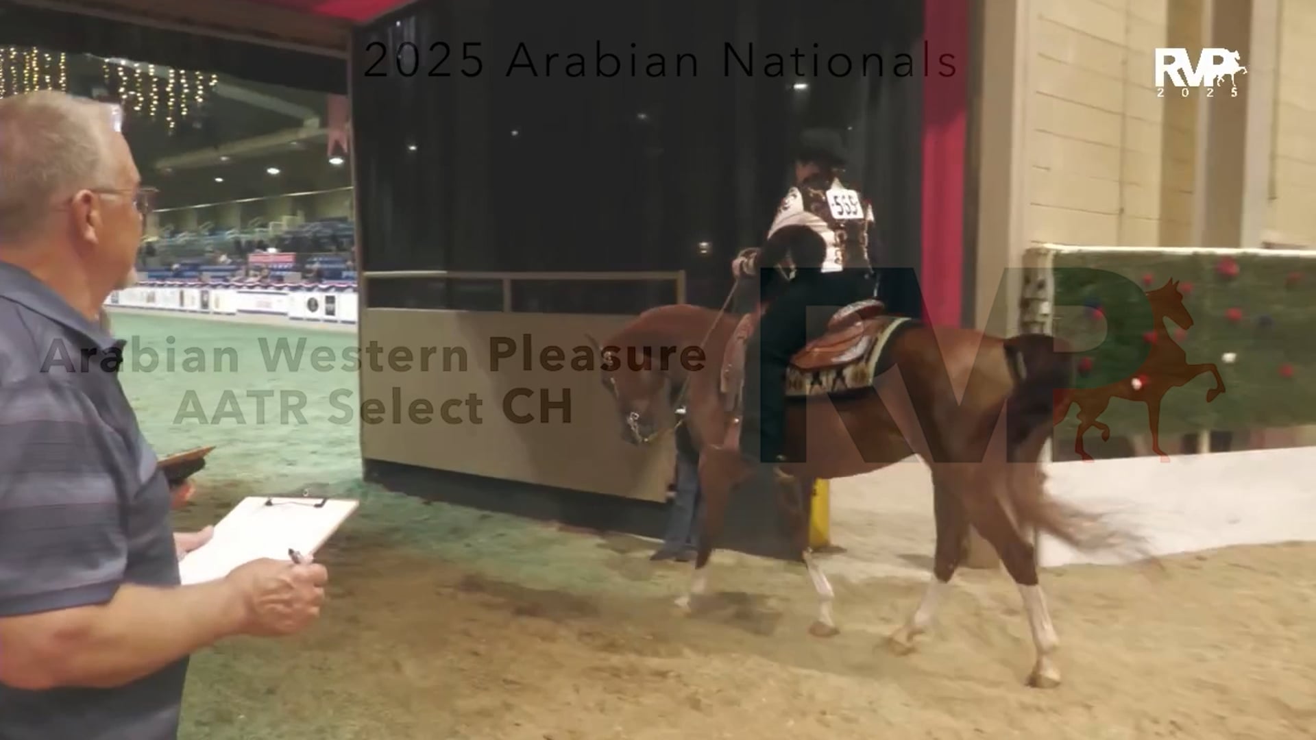 AN25 - Class 1166.3 - Arabian Western Pleasure AATR Select CH